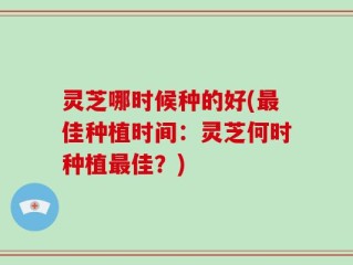 灵芝哪时候种的好(最佳种植时间：灵芝何时种植最佳？)