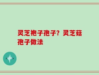 灵芝袍子孢子？灵芝菇孢子做法