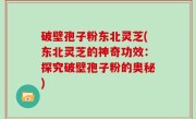 破壁孢子粉东北灵芝(东北灵芝的神奇功效：探究破壁孢子粉的奥秘)