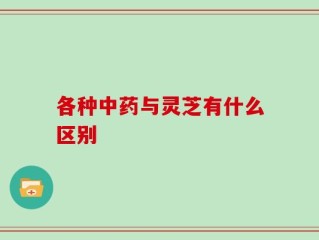 各种中药与灵芝有什么区别