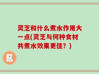 灵芝和什么煮水作用大一点(灵芝与何种食材共煮水效果更佳？)