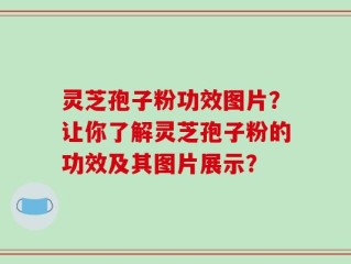 灵芝孢子粉功效图片？让你了解灵芝孢子粉的功效及其图片展示？
