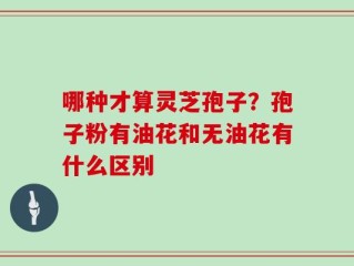 哪种才算灵芝孢子？孢子粉有油花和无油花有什么区别