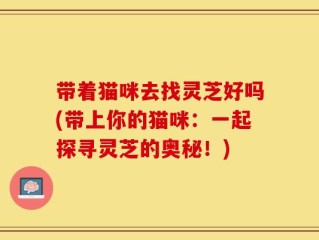 带着猫咪去找灵芝好吗(带上你的猫咪：一起探寻灵芝的奥秘！)