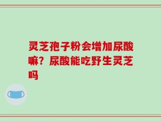 灵芝孢子粉会增加尿酸嘛？尿酸能吃野生灵芝吗