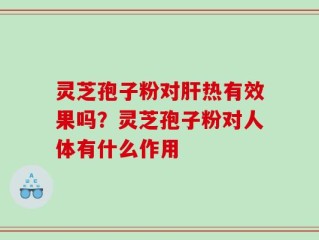 灵芝孢子粉对肝热有效果吗？灵芝孢子粉对人体有什么作用