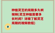 种植灵芝的周期多久啊视频(灵芝种植需要多长时间？详细了解灵芝周期的视频教程)