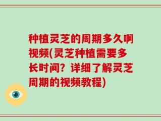 种植灵芝的周期多久啊视频(灵芝种植需要多长时间？详细了解灵芝周期的视频教程)