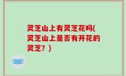 灵芝山上有灵芝花吗(灵芝山上是否有开花的灵芝？)