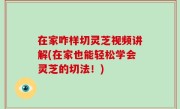 在家咋样切灵芝视频讲解(在家也能轻松学会灵芝的切法！)