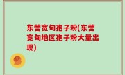 东营宽甸孢子粉(东营宽甸地区孢子粉大量出现)