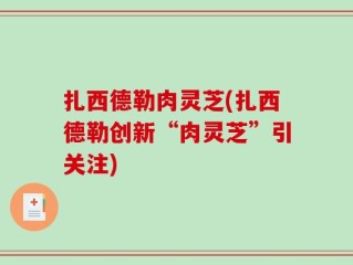 扎西德勒肉灵芝(扎西德勒创新“肉灵芝”引关注)