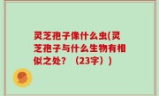 灵芝孢子像什么虫(灵芝孢子与什么生物有相似之处？（23字）)