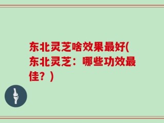 东北灵芝啥效果最好(东北灵芝：哪些功效最佳？)