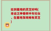 捡到墓地的灵芝好吗(幸运之神眷顾中年妇女，在墓地发现稀有灵芝)