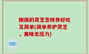 刚摘的灵芝怎样养好吃又简单(简单养护灵芝，美味无压力)