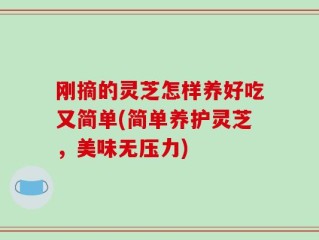 刚摘的灵芝怎样养好吃又简单(简单养护灵芝，美味无压力)