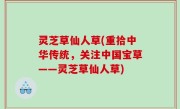 灵芝草仙人草(重拾中华传统，关注中国宝草——灵芝草仙人草)