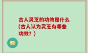 古人灵芝的功效是什么(古人认为灵芝有哪些功效？)
