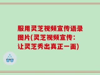 服用灵芝视频宣传语录图片(灵芝视频宣传：让灵芝秀出真正一面)