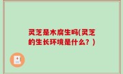 灵芝是木腐生吗(灵芝的生长环境是什么？)