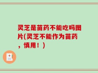 灵芝是苗药不能吃吗图片(灵芝不能作为苗药，慎用！)