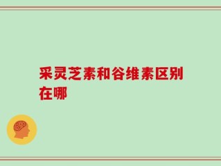 采灵芝素和谷维素区别在哪