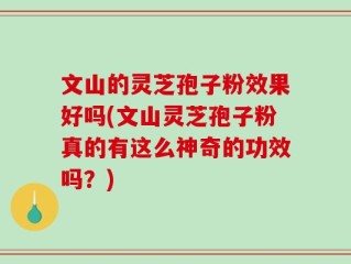 文山的灵芝孢子粉效果好吗(文山灵芝孢子粉真的有这么神奇的功效吗？)