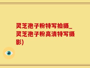灵芝孢子粉特写拍摄_灵芝孢子粉高清特写摄影)