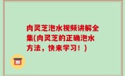 肉灵芝泡水视频讲解全集(肉灵芝的正确泡水方法，快来学习！)