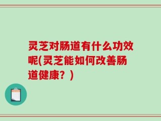 灵芝对肠道有什么功效呢(灵芝能如何改善肠道健康？)
