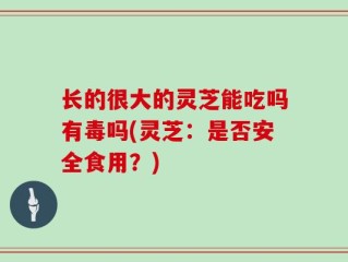 长的很大的灵芝能吃吗有毒吗(灵芝：是否安全食用？)