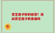 灵芝孢子粉的收获？池润灵芝孢子粉靠谱吗