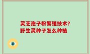灵芝孢子粉繁殖技术？野生灵种子怎么种植