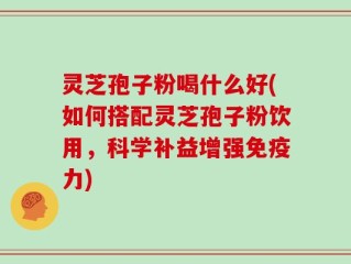 灵芝孢子粉喝什么好(如何搭配灵芝孢子粉饮用，科学补益增强免疫力)