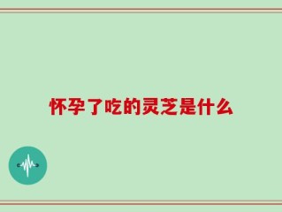 怀孕了吃的灵芝是什么
