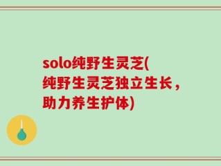 solo纯野生灵芝(纯野生灵芝独立生长，助力养生护体)