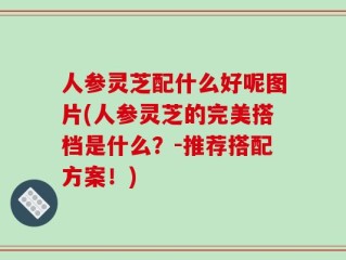 人参灵芝配什么好呢图片(人参灵芝的完美搭档是什么？-推荐搭配方案！)