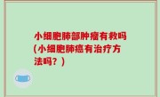 小细胞肺部肿瘤有救吗(小细胞肺癌有治疗方法吗？)