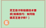 灵芝孢子粉拍摄技术要求(拍摄技巧：如何拍摄灵芝孢子粉？)