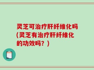 灵芝可治疗肝纤维化吗(灵芝有治疗肝纤维化的功效吗？)