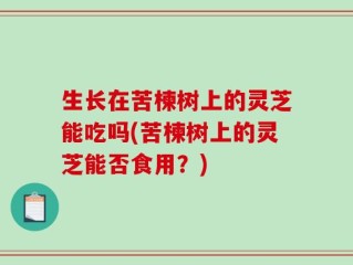 生长在苦楝树上的灵芝能吃吗(苦楝树上的灵芝能否食用？)