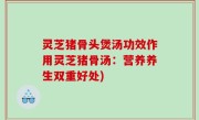 灵芝猪骨头煲汤功效作用灵芝猪骨汤：营养养生双重好处)