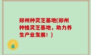 郑州种灵芝基地(郑州种植灵芝基地，助力养生产业发展！)