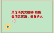 灵芝汤美食拍摄(拍摄香浓灵芝汤，美食诱人！)