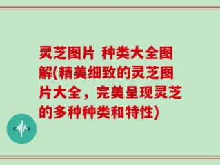 灵芝图片 种类大全图解(精美细致的灵芝图片大全，完美呈现灵芝的多种种类和特性)