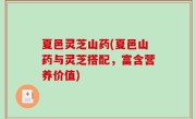 夏邑灵芝山药(夏邑山药与灵芝搭配，富含营养价值)