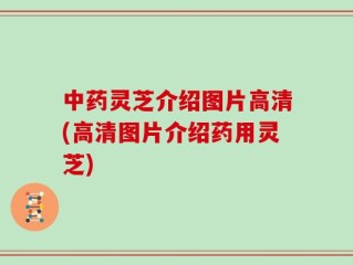 中药灵芝介绍图片高清(高清图片介绍药用灵芝)