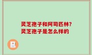 灵芝孢子和阿司匹林？灵芝孢子是怎么样的