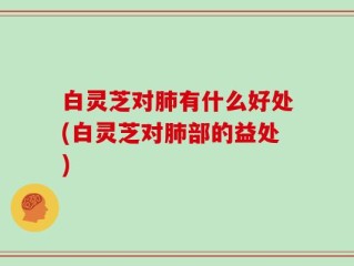 白灵芝对肺有什么好处(白灵芝对肺部的益处)